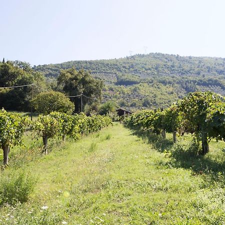 Agriturismo I Melograni Ferentillo Esterno foto
