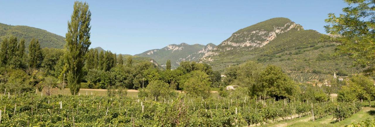 Agriturismo I Melograni Ferentillo Esterno foto