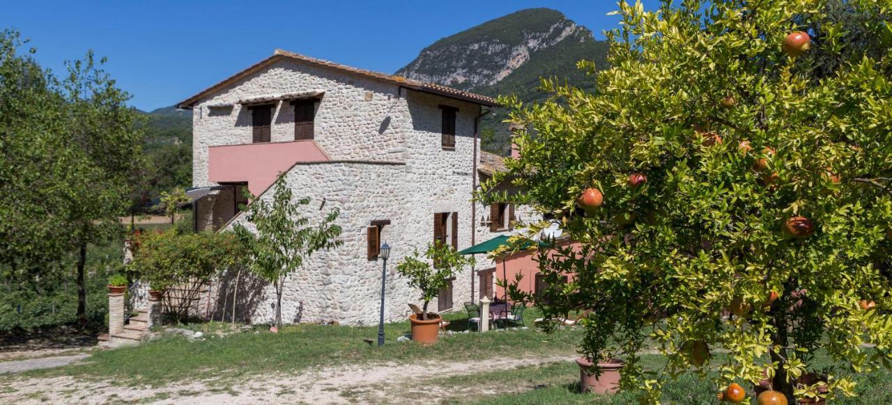 Agriturismo I Melograni Ferentillo Esterno foto