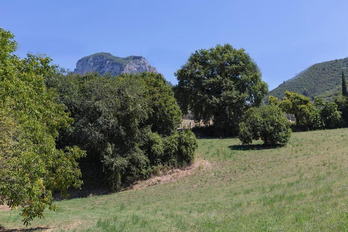 Agriturismo I Melograni Ferentillo Esterno foto