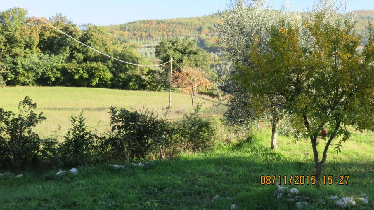 Agriturismo I Melograni Ferentillo Esterno foto
