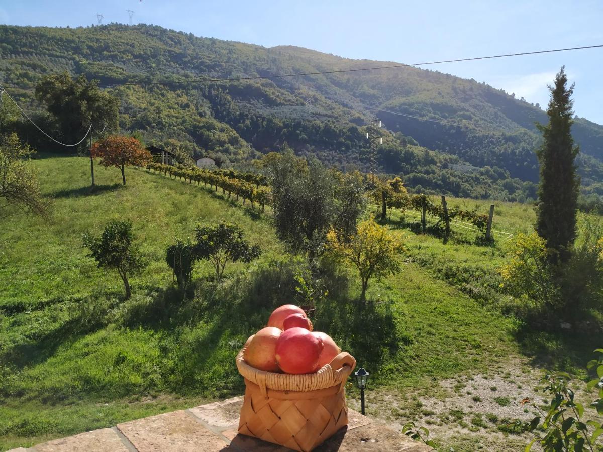 Agriturismo I Melograni Ferentillo Esterno foto