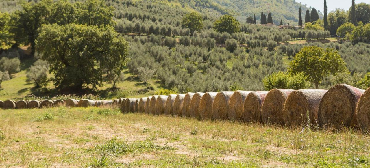 Agriturismo I Melograni Ferentillo Esterno foto