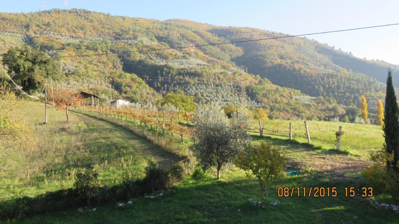 Agriturismo I Melograni Ferentillo Esterno foto