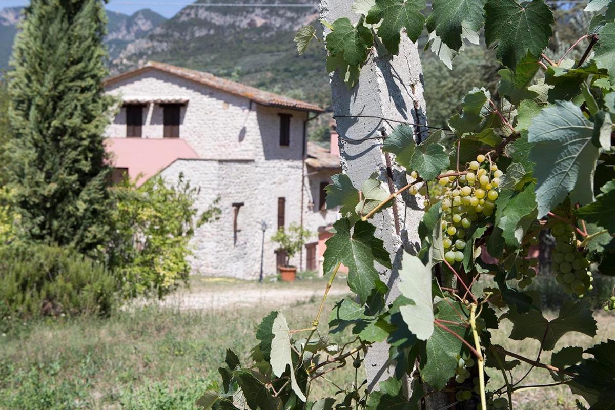 Agriturismo I Melograni Ferentillo Esterno foto