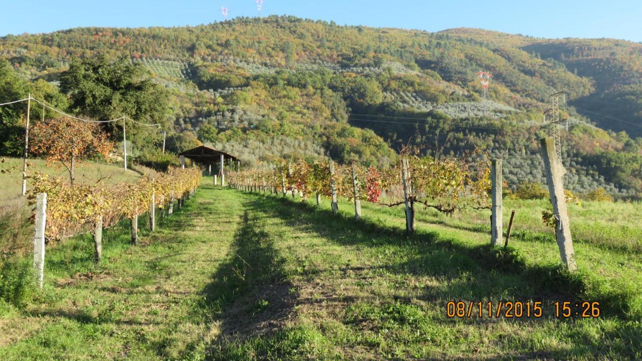 Agriturismo I Melograni Ferentillo Esterno foto