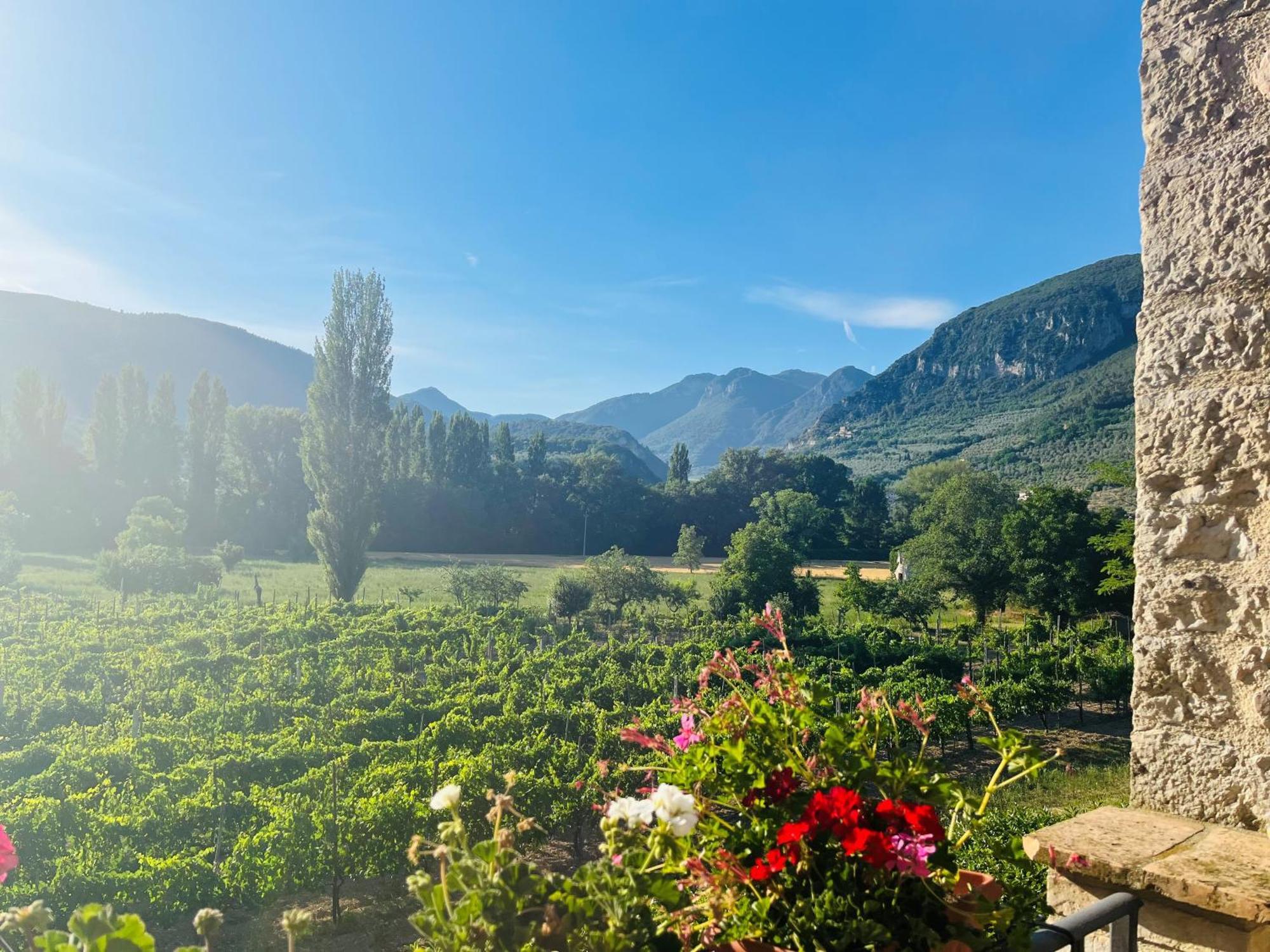 Agriturismo I Melograni Ferentillo Esterno foto